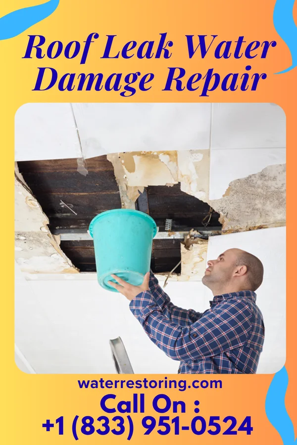 Roof Leak Water Damage Repair in Fairmont, IL