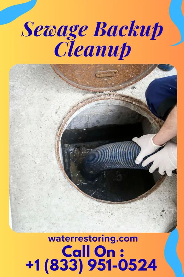 Sewage Backup Cleanup in Fairmont, IL