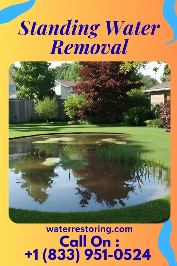 Standing Water Removal in Fairmont, IL